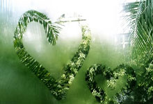 九游娱乐 -帮助伊兰尼库斯任务后续